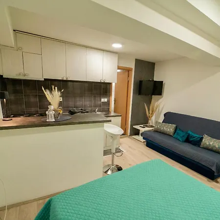 Aleksandra U Centru Grada Apartamento