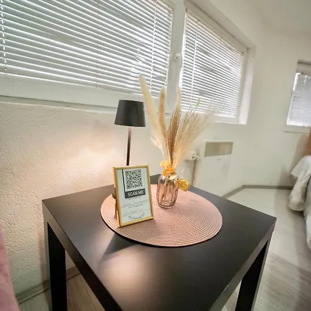 Aleksandra U Centru Grada شقة