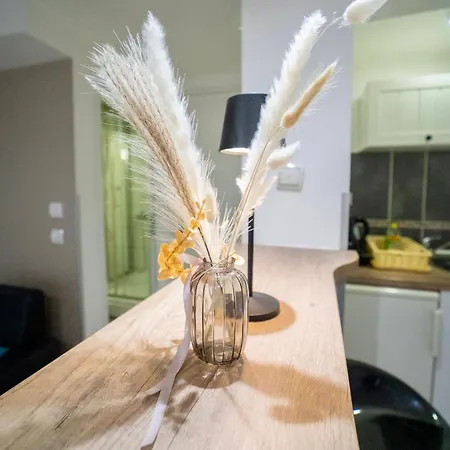 Aleksandra U Centru Grada Kragujevac