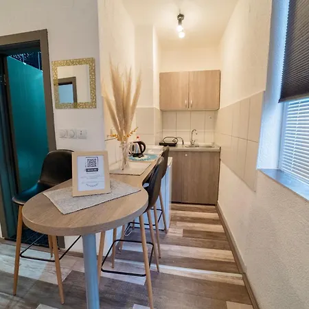 Apartment Aleksandra U Centru Grada Kragujevac