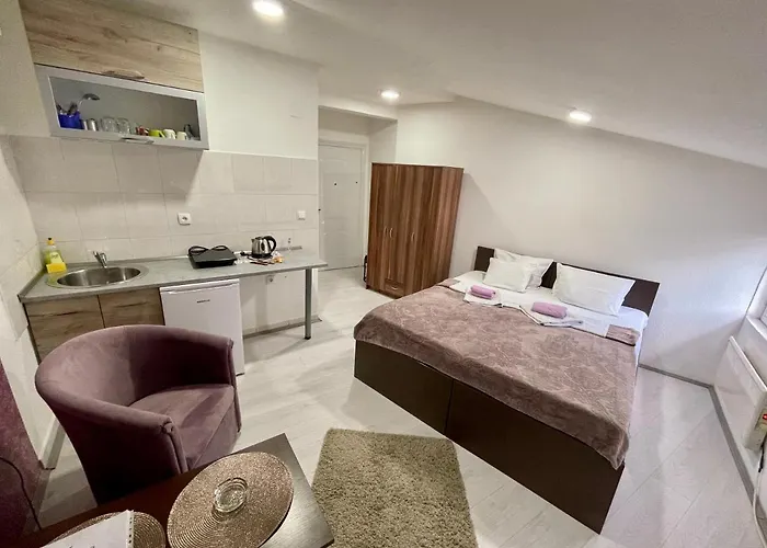 Aleksandra U Centru Grada Kragujevac