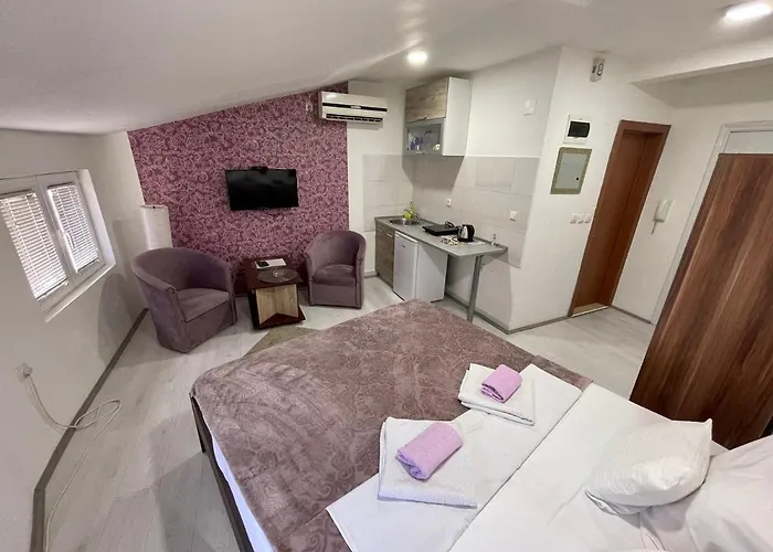 Aleksandra U Centru Grada Kragujevac