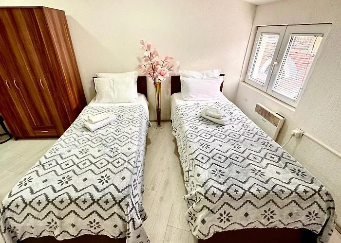 Aleksandra U Centru Grada Kragujevac