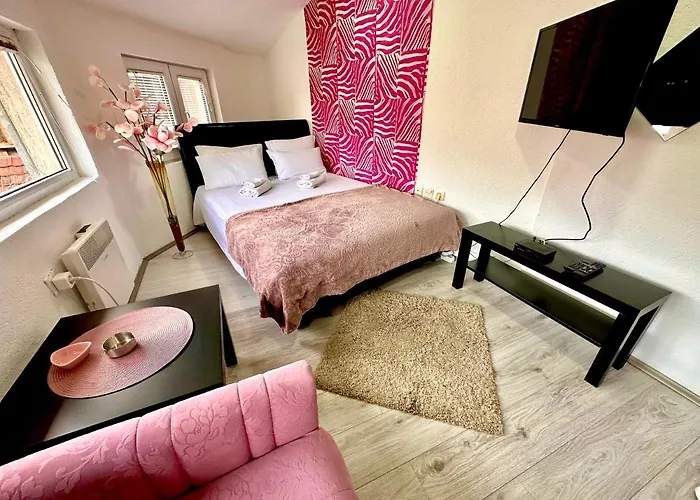 Aleksandra U Centru Grada Appartement