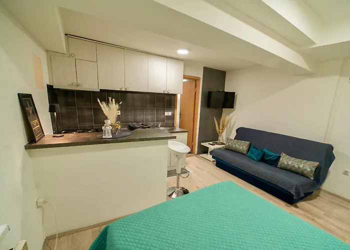 Aleksandra U Centru Grada Appartement